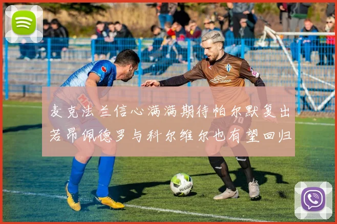 麦克法兰信心满满期待帕尔默复出若昂佩德罗与科尔维尔也有望回归