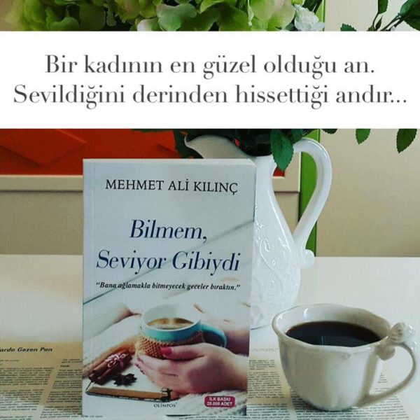 Bilmem Seviyor Gibiydi (Sevgi), Mehmet Ali Kılınç